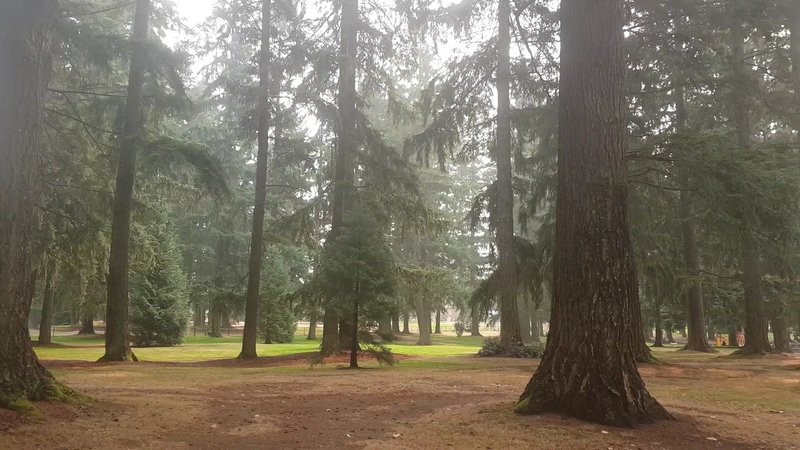 Crossroads Park Pickleball and Tennis Courts - Image 2