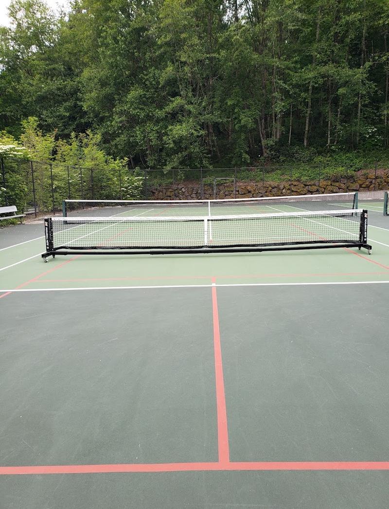 Lakemont Community Park Pickleball And Tennis Courts - Image 2