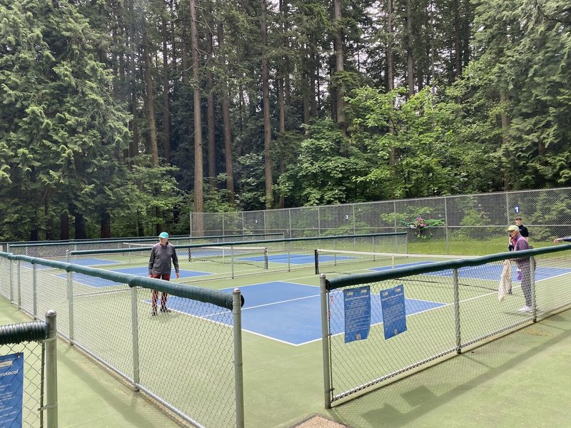 Pickleball & Tennis Courts | Cornwall Park - Image 3