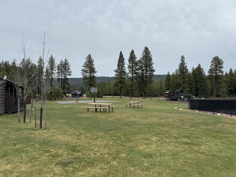 Dawson Park Pickleball - Image 2