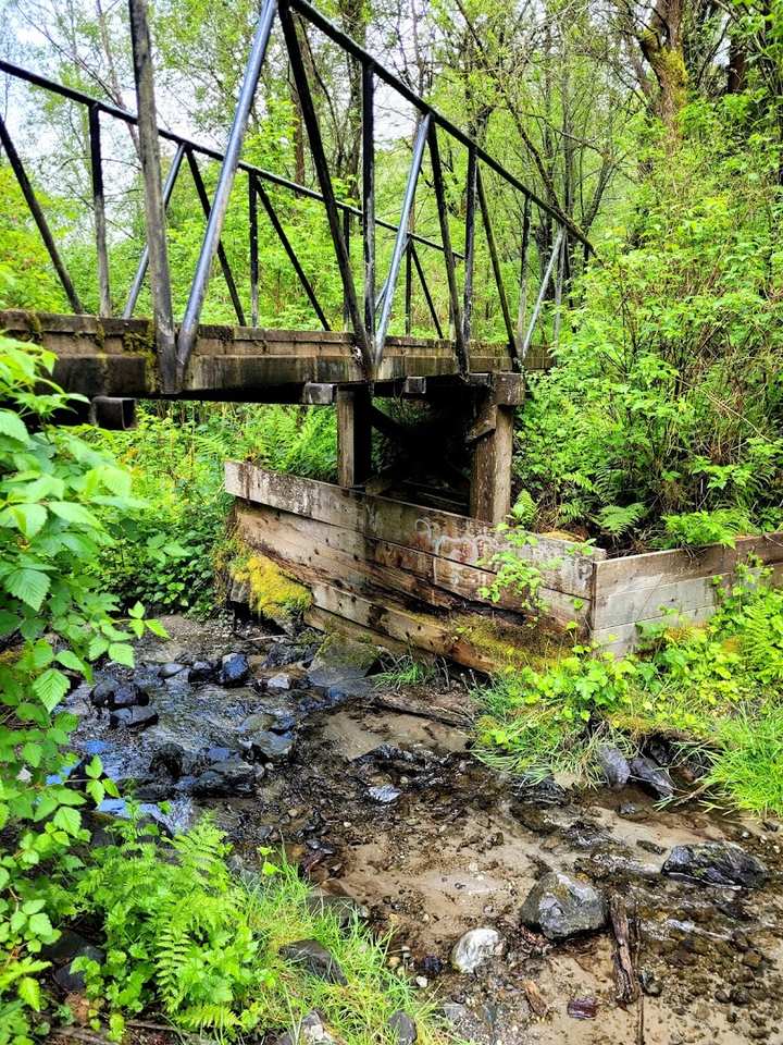 Yost Park Tennis and Pickleball Courts - Image 2