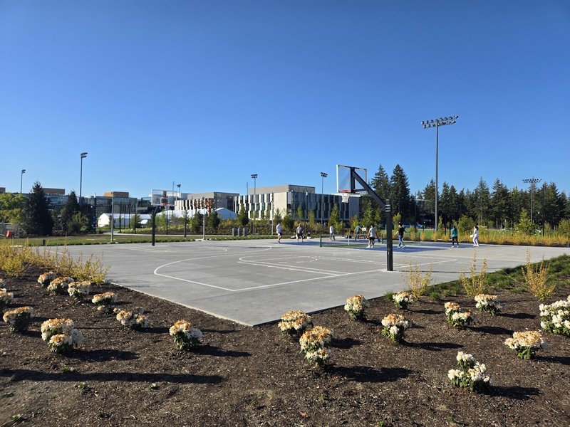Microsoft Basketball & Pickleball Courts - Image 2