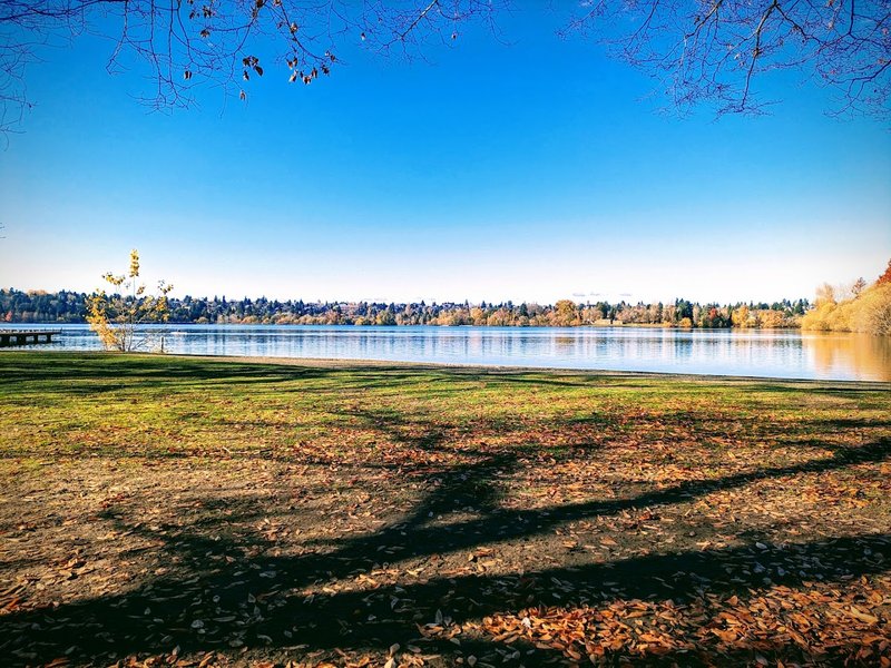 Green Lake Pickleball Courts East - Image 3