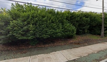 View Ridge Swim and Tennis Club Pickleball Court thumbnail