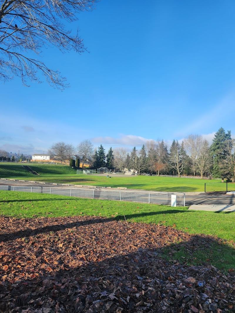 Joseph Foster Memorial Park Pickleball Court - Image 3