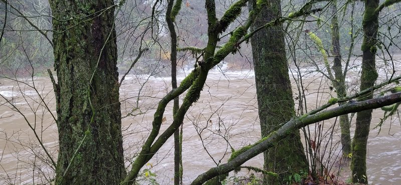Hathaway Park Pickleball - Image 3