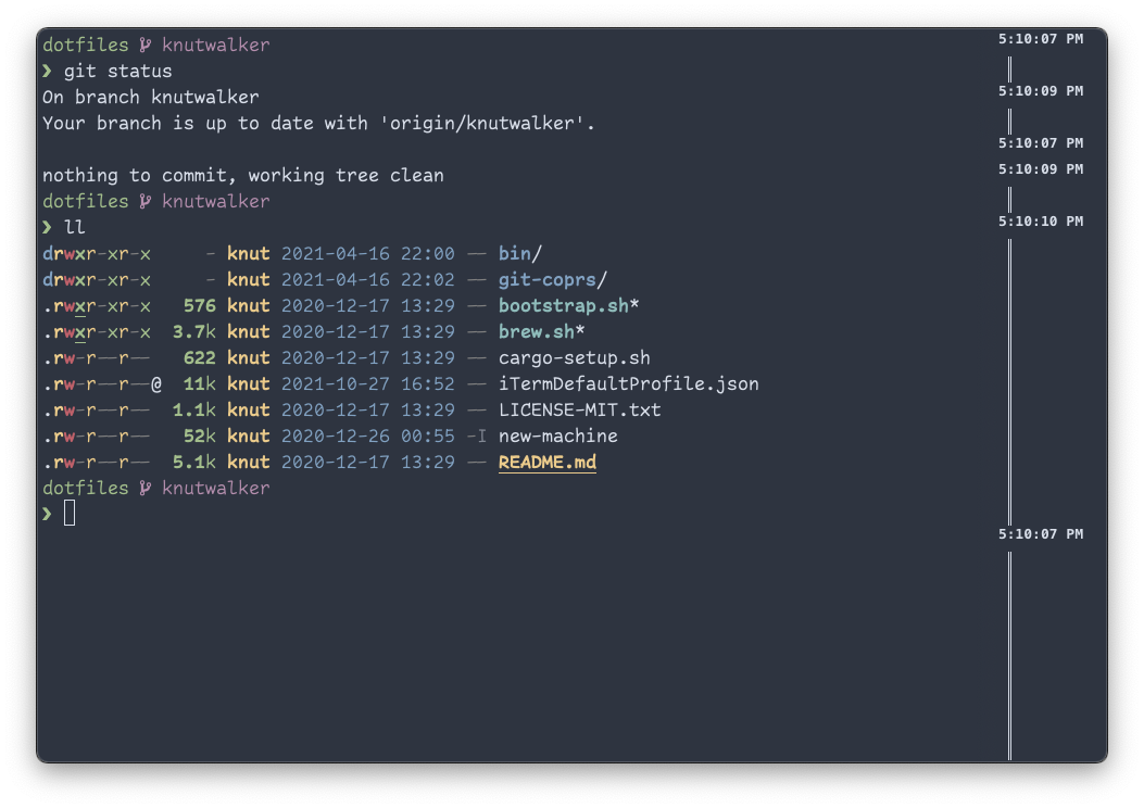 Screenshot of my shell prompt