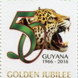 guyana-golden-160