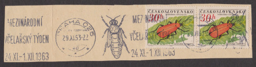 Sweet 1963 Czech bee cancel