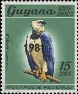 guyana harpy with 1981 in black