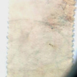 8010693_118847760_big