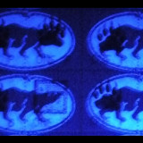 Renegade-Post-4-UV-Error-Pair-at-UL-r400