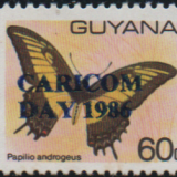 guyana-2b