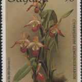 guyana-1c