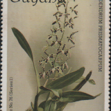 guyana-1e