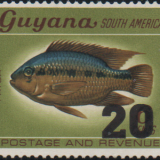 guyana-2a.png