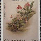 guyana-3b.png