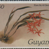guyana-5a