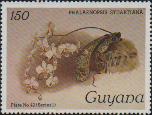 guyana-5b.png