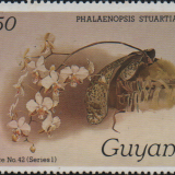 guyana-5b