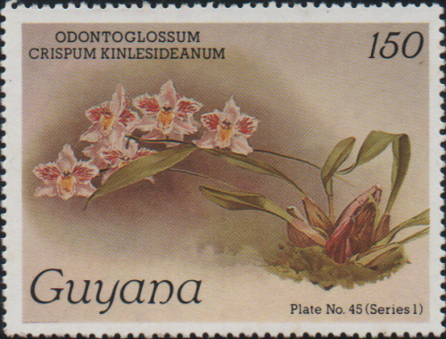 guyana-5c.png