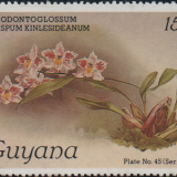 guyana-5c