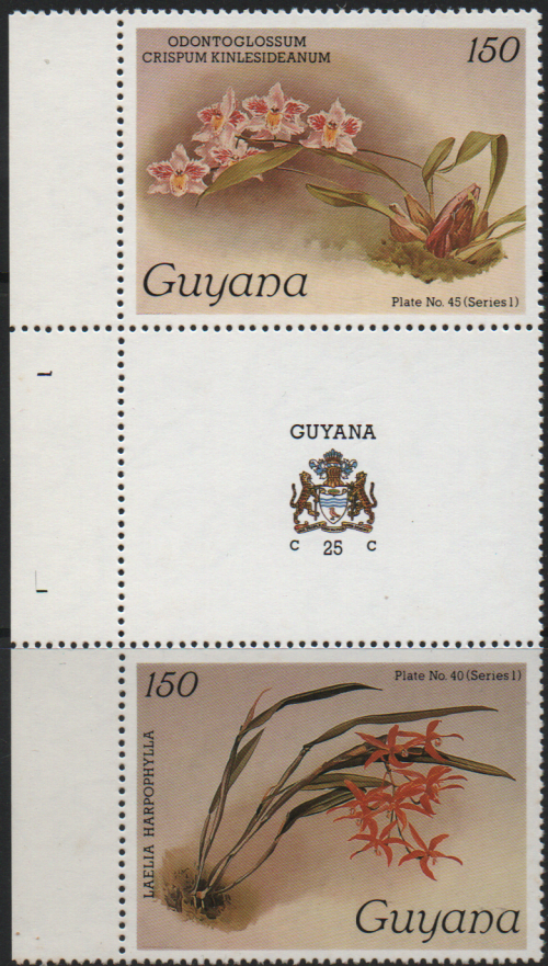 guyana-1a.png