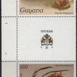 guyana-1a