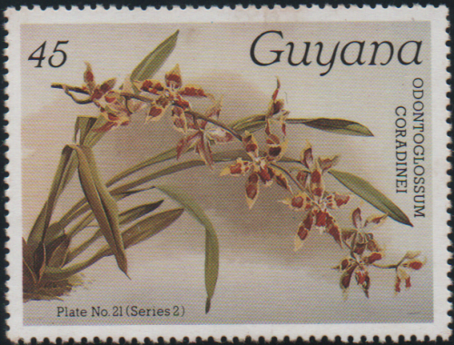 guyana-2a.png
