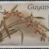 guyana-2a