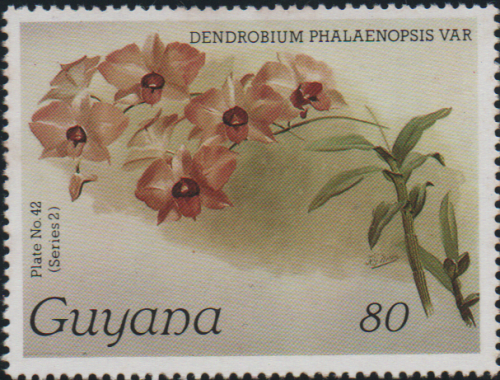 guyana-2c.png