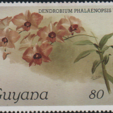 guyana-2c