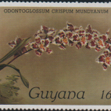 guyana-2f