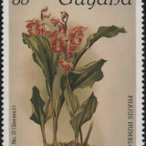 guyana-7a.png