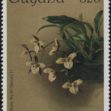 guyana-8b.png