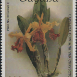 guyana-8c.png