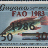 guyana-6.png