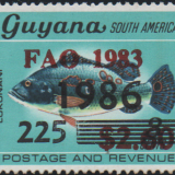guyana-6a.png