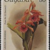 guyana-9a.png