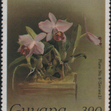 guyana-9i.png