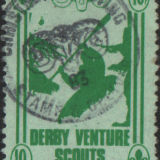derby-scouts-1