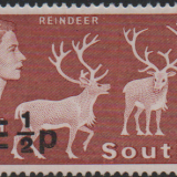 South-Georgia-74-mint.png