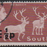South-Georgia-74-used.png