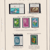 Israel-1024-4-r45