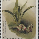 guyana-sg-2180