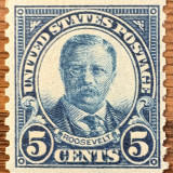 602_Theodore-Roosevelt_MNH_1924