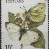 summer-isles-butterflies-15p
