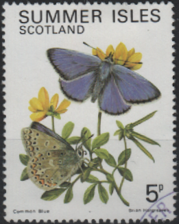 summer-isles-butterflies-5p.png