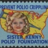 zz-new-additions-1da