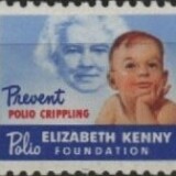 zz-new-additions-1db